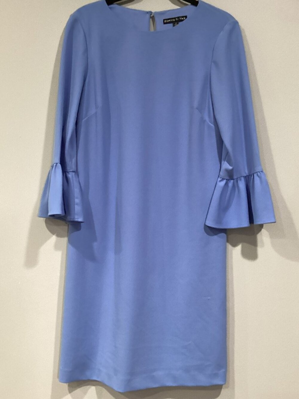 Preston & York Light Blue Ruffle Sleeve Dress – sz 8